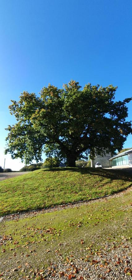 Kemeys Folly Villa Newport  Eksteriør billede